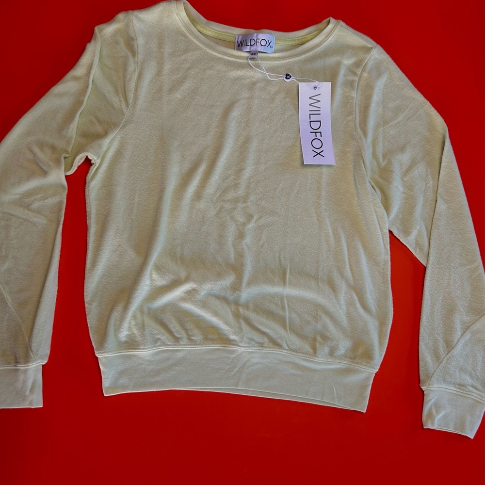 Wildfox sweater in Shadow Lime